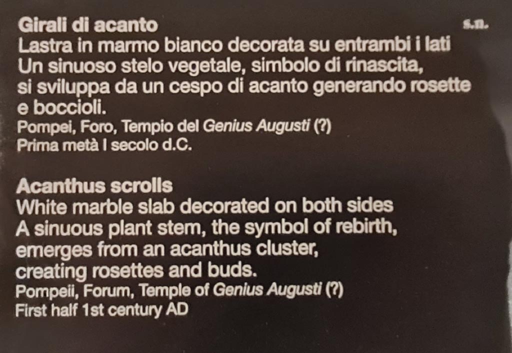 VII.9.2 Pompeii. April 2023. Museum descriptive card of marble acanthus scrolls. Photo courtesy of Giuseppe Ciaramella.