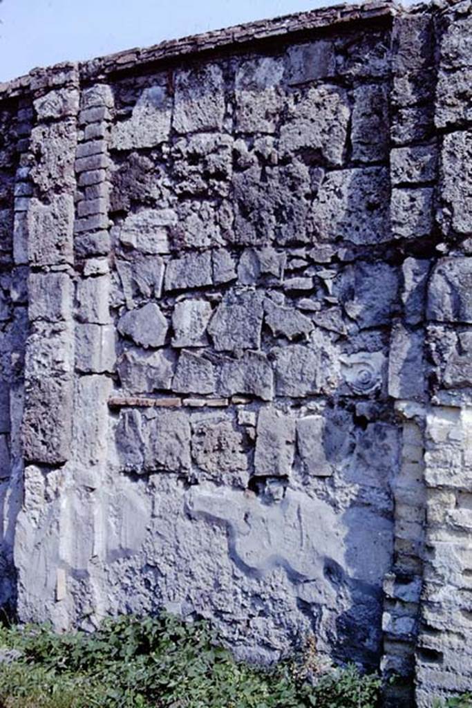 VII.9.2 Pompeii. 1966. South wall, fourth panel from the left. Photo by Stanley A. Jashemski.
Source: The Wilhelmina and Stanley A. Jashemski archive in the University of Maryland Library, Special Collections (See collection page) and made available under the Creative Commons Attribution-Non Commercial License v.4. See Licence and use details.
J66f0244