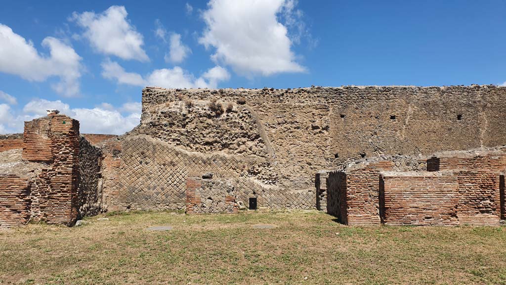 VII.9.3 Pompeii. August 2021. North wall.
Foto Annette Haug, ERC Grant 681269 DÉCOR.