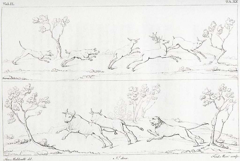 VII.9.7 and VII.9.8 Pompeii. Pre-1825 drawings of two hunt scenes seen in the zoccolo of the walls in the Macellum.
See Real Museo Borbonico, 1825, Vol. II, Tav. XX.