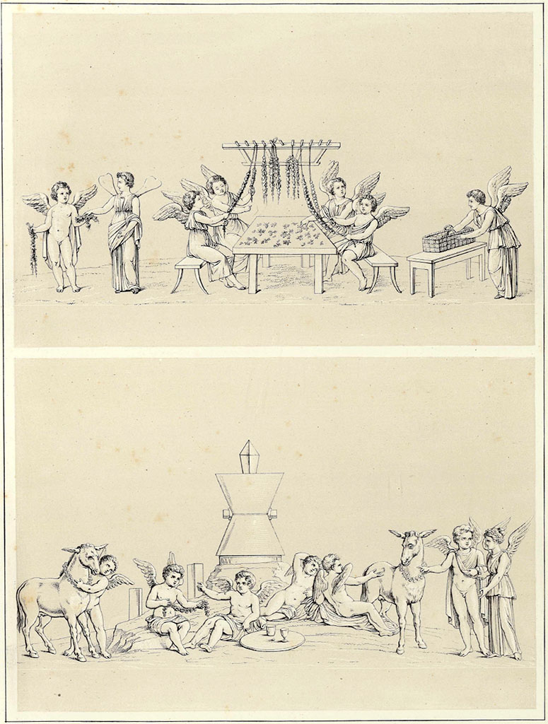 VII.9.7/8 Pompeii. Two drawings by Niccolini. See also the north entrance prothyron at VII.9.19.
According to Niccolini –
“This side (north side) was decorated by other paintings and architectural friezes, which now are entirely lost.
The same applies to the walls that formed the north entrance of the building, decorated by various paintings and interesting decorations, of which now one can discern some meagre remains. However, since they were drawn as soon as they were discovered, and then published, we can offer a sufficient description of them.
In the painting that was located on the left (Helbig 777), we have the celebration of the Festival of Vestals, that was sacred to Vesta, represented by Cupids and Psyches. At the rear you have a mill: from the middle of the catillus a quadrangular rod came out finishing in a point, which was used to regulate the passage of the grain. Towards the front are various groups of Cupids.” (p.12).
“In the painting that was located opposite (Helbig 800), Floralia was being celebrated, represented here by means of Cupids and Psyches.
Sitting on a bench, and around a table, were two Psyches dressed in long tunics, and two Cupids, all of whom were intent on collecting the flowers that were on the table to make garlands.” (p.13).
See Niccolini F, 1854. Le case ed i monumenti di Pompei: Volume Primo. Napoli, Edificio Volgarmente detto Panteon, p. 12, 13, 15, Tav. IV.
