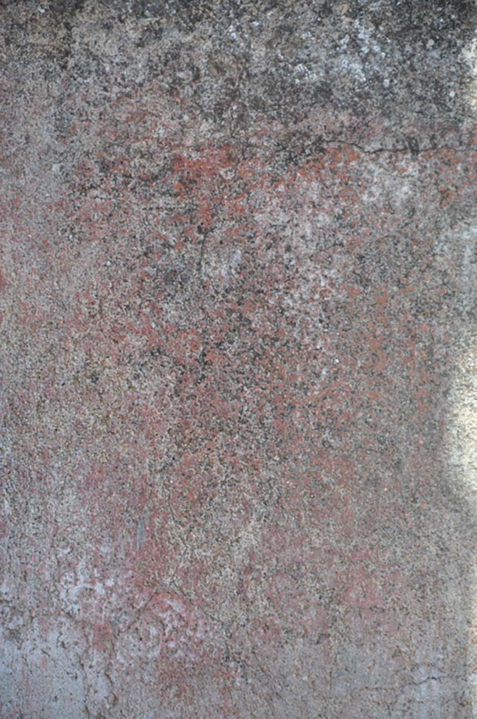 VII.9.7/8 Pompeii. July 2017.
Detail of remaining painted plaster on lower east wall at north end.
Foto Annette Haug, ERC Grant 681269 DÉCOR.