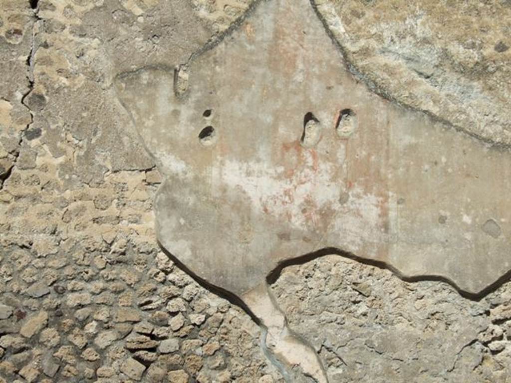 VII.9.7 and VII.9.8 Pompeii. Macellum. March 2009. North wall with remains of painted plaster in large room in south-east corner.