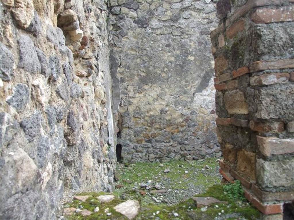 VII.9.29 Pompeii. March 2009. Looking through gap in south wall into rear room.
