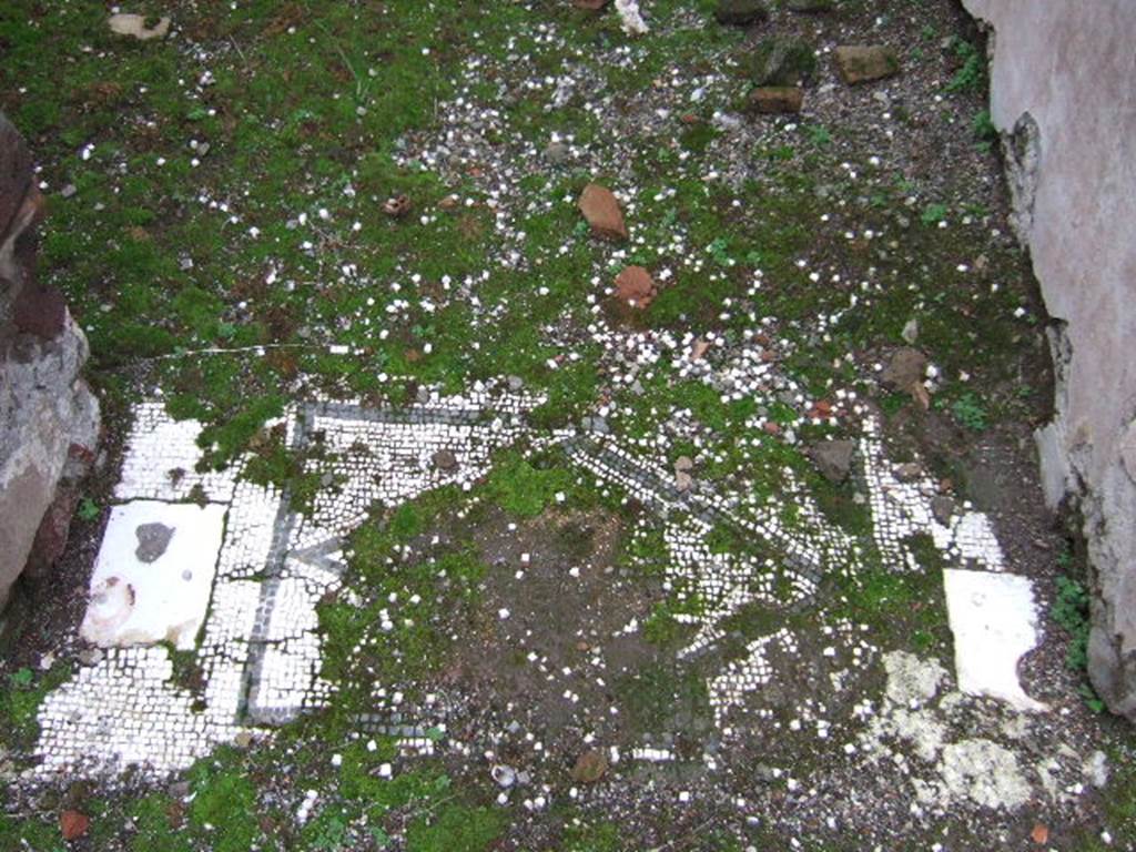 VII.10.3 Pompeii. December 2005. Room 12. Mosaic floor and marble door supports in door threshold.