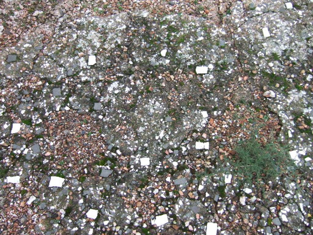 VII.10.5 Pompeii. December 2005. Remains of flooring.
