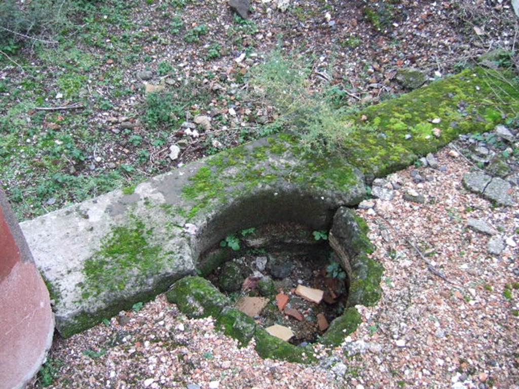 VII.10.5 Pompeii. December 2005. Cistern-mouth on edge of west portico.
