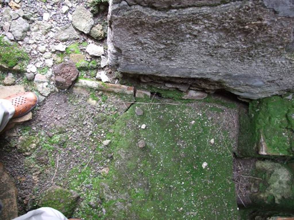 VII.10.9 Pompeii. March 2009. Floor of Latrine.