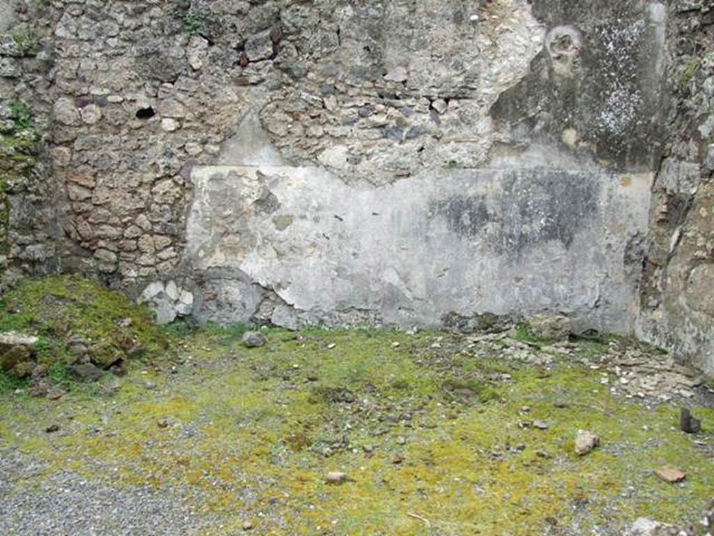 VII.10.12 Pompeii. March 2009. South wall of atrium.