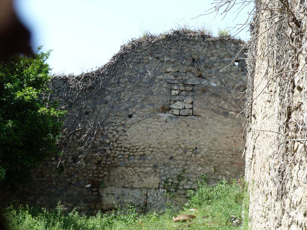 VII.10.14 Pompeii. May 2010.
Looking west through entrance doorway to north-west corner, with basin and overgrown steps to doorway to house at VII.10.3.
In the west wall, the blocked window giving light to the small storeroom in room 17 of VII.10.3, can be seen.