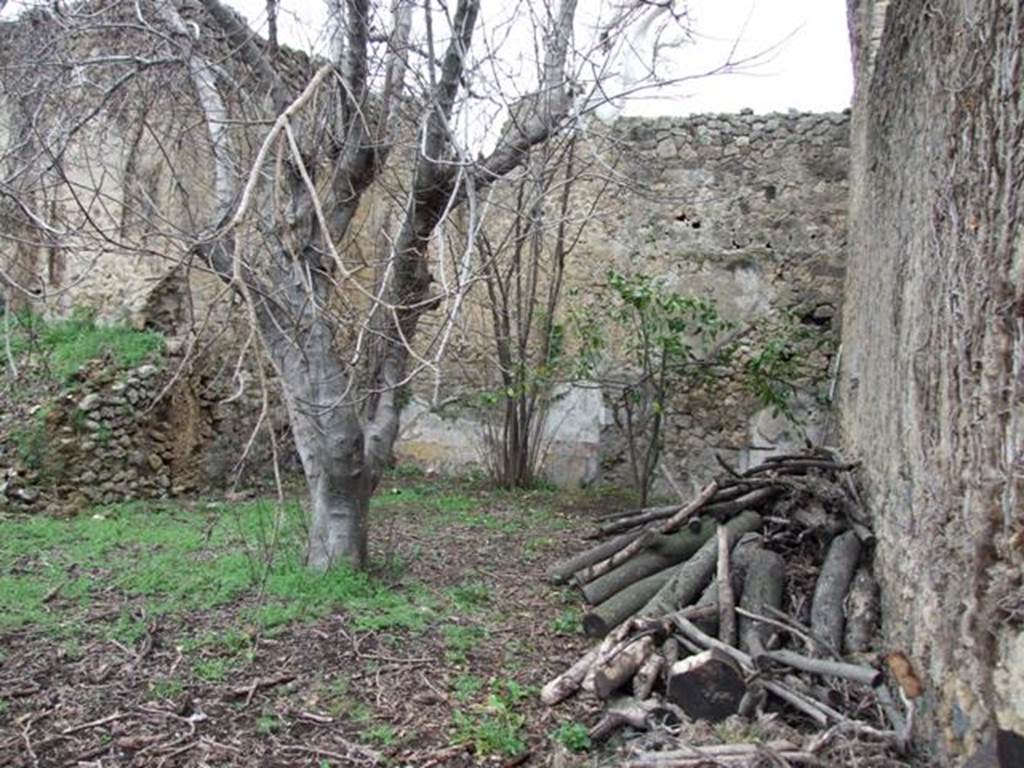 VII.11.14 Pompeii. March 2009. Garden “C”, North east corner.