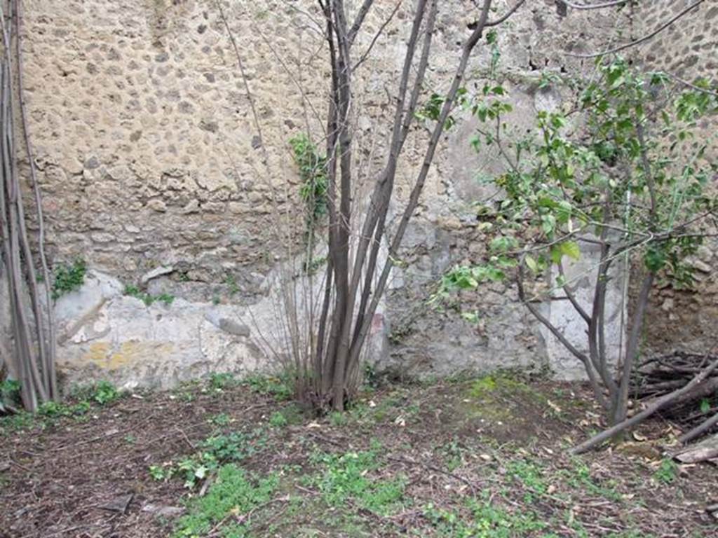VII.11.14 Pompeii. March 2009. Garden “C”, North wall with remains of painted decoration.