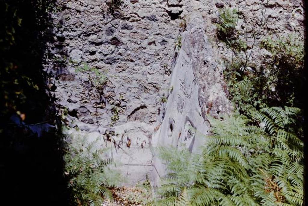VII.11.14 Pompeii. 1966. Garden “C”, painted decoration on north and east wall of third small garden room in north-west corner. Photo by Stanley A. Jashemski.
Source: The Wilhelmina and Stanley A. Jashemski archive in the University of Maryland Library, Special Collections (See collection page) and made available under the Creative Commons Attribution-Non Commercial License v.4. See Licence and use details. J66f0715