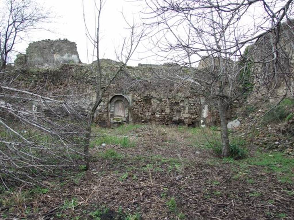 VII.11.14 Pompeii. March 2009. Garden “C”, West wall.