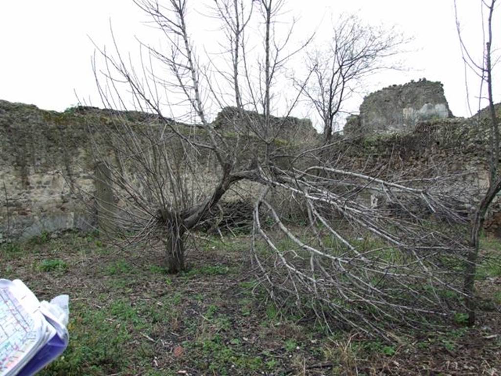 VII.11.14 Pompeii. March 2009. Garden “C”, South west corner.