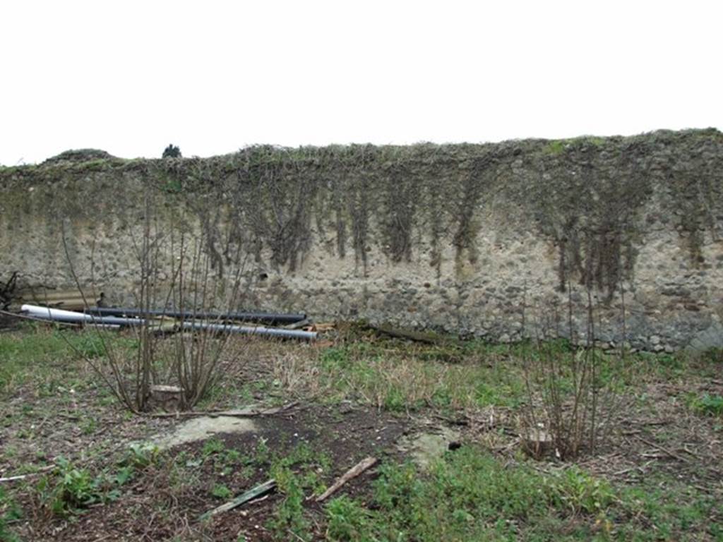 VII.11.14 Pompeii. March 2009. Garden “C”, South wall.