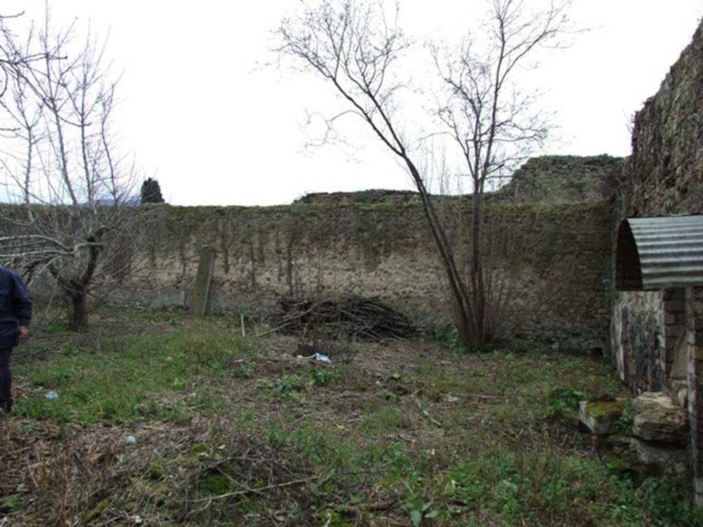 VII.11.14 Pompeii. March 2009. Garden “C”, Looking South along west wall.