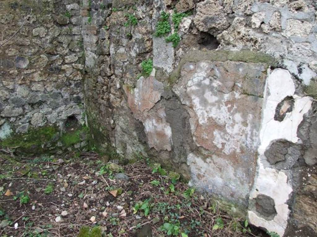 VII.11.14 Pompeii. March 2009. Garden “C”, South west corner.