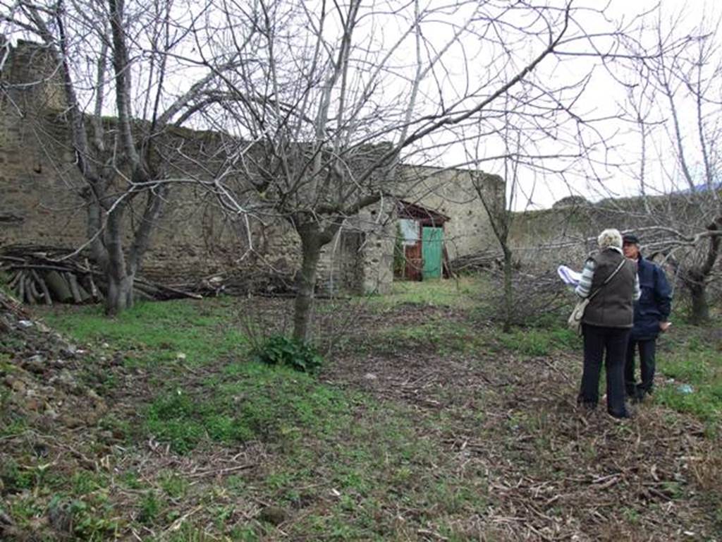 VII.11.14 Pompeii. March 2009. Garden “C”, Looking East .