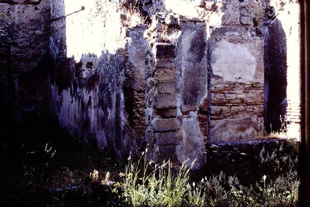 VII.11.14 Pompeii, 1978. North side of garden area with remains of large low window, in north-east corner of garden area “A”. Photo by Stanley A. Jashemski.
Source: The Wilhelmina and Stanley A. Jashemski archive in the University of Maryland Library, Special Collections (See collection page) and made available under the Creative Commons Attribution-Non Commercial License v.4. See Licence and use details. J78f0107