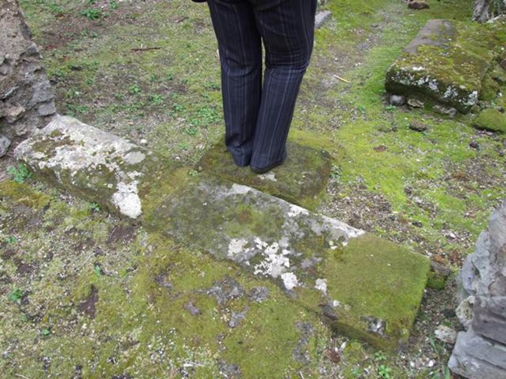 VII.11.14 Pompeii. March 2009. Step to entrance passageway in Room 1.
