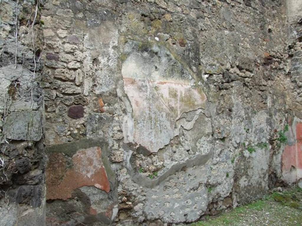VII.11.14 Pompeii. March 2009. Room 7. Tablinum. West wall.