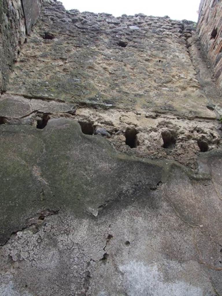 VII.11.14 Pompeii. March 2009. Room 9. West upper wall.