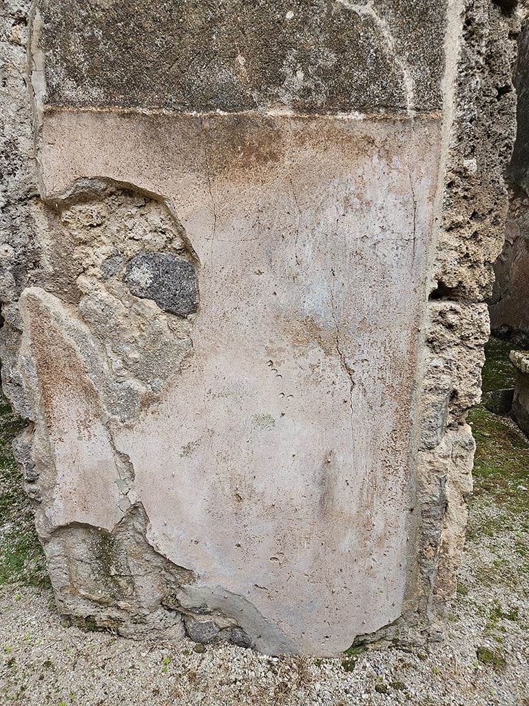 VII.11.11/14 Pompeii. November 2024.
Room 8, east side of atrium, detail of stucco on zoccolo at north end between doorways to rooms 11 and 12.
Photo courtesy of Annette Haug.