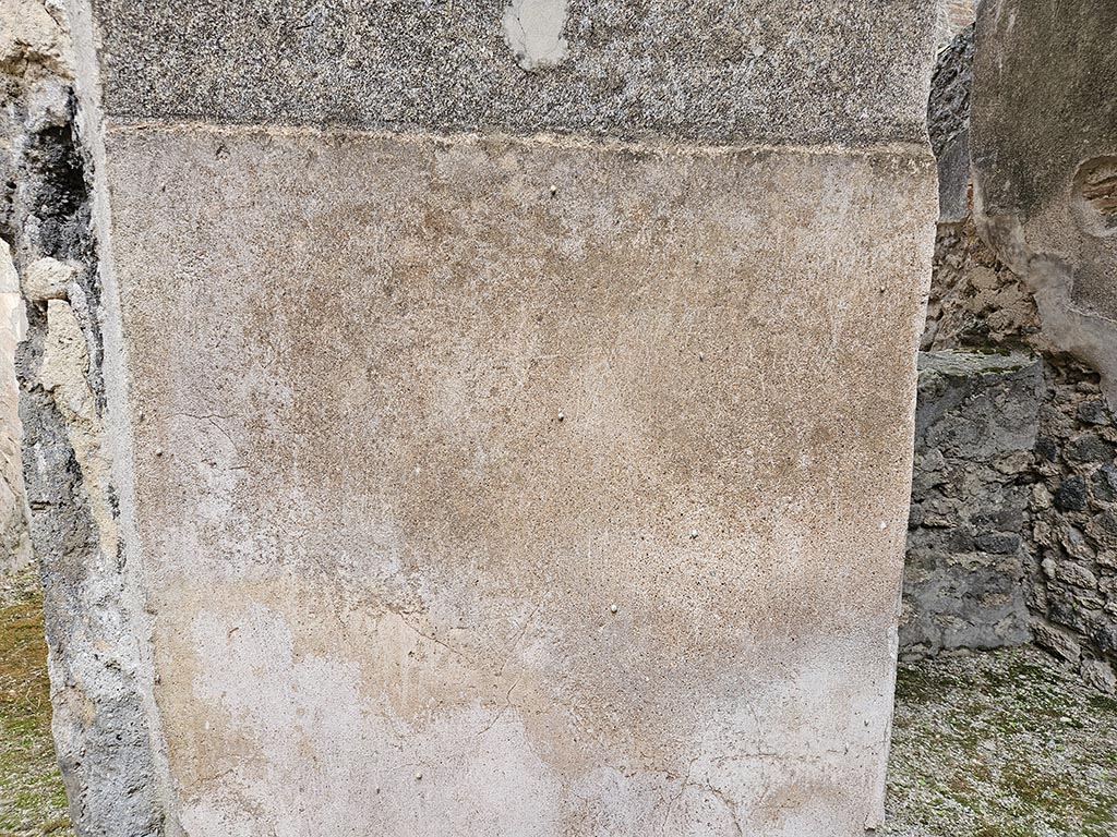 VII.11.11/14 Pompeii. November 2024.
Room 8, east side of atrium, stucco on zoccolo at south end between doorways to rooms 12 and 13. Photo courtesy of Annette Haug.