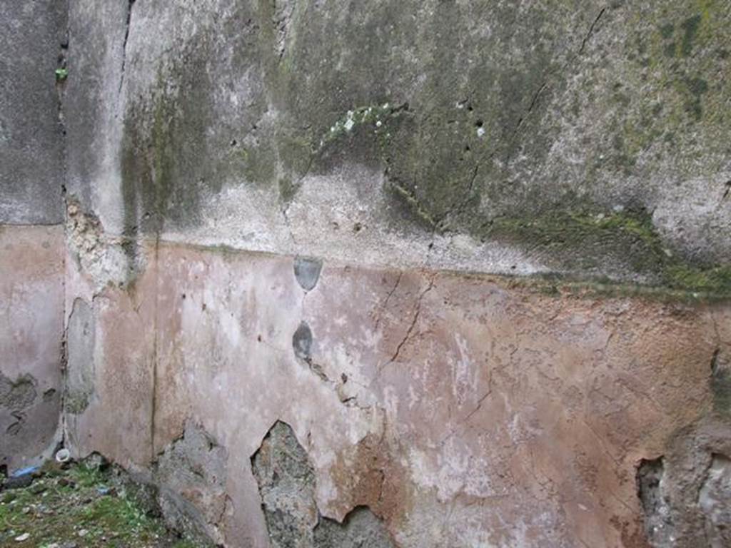 VII.11.14 Pompeii. March 2009. Room 12. South wall.