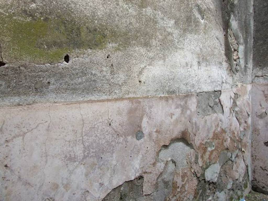 VII.11.14 Pompeii. March 2009. Room 12. North wall.