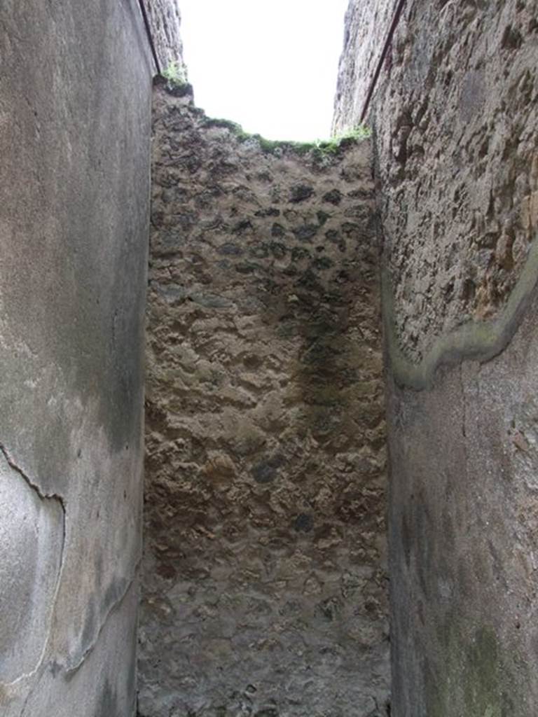 VII.11.14 Pompeii. March 2009. Room 15. South wall.