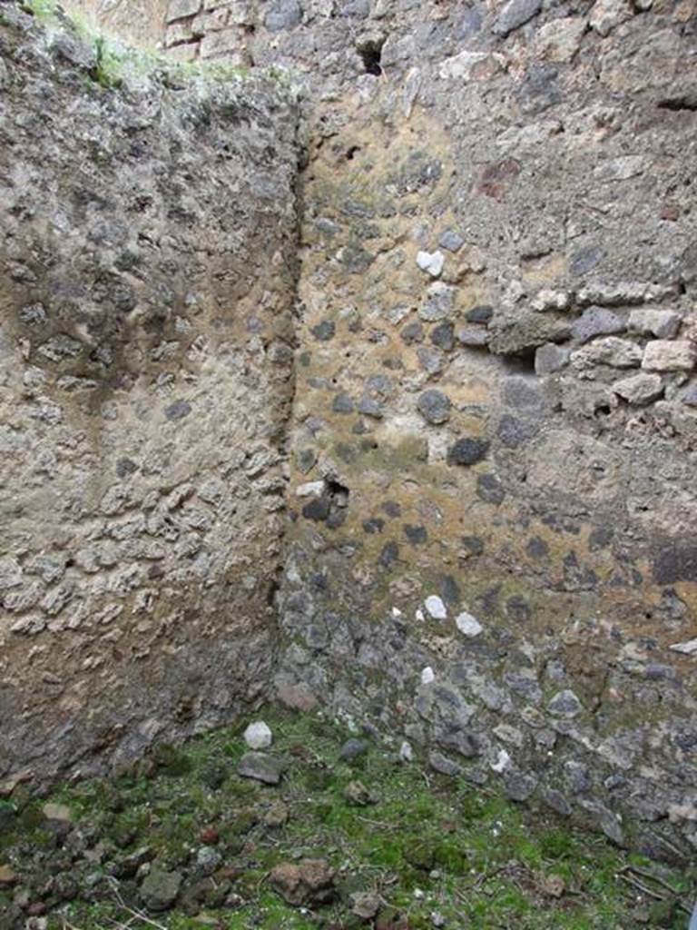 VII.11.14 Pompeii. March 2009. Room 2. South west corner.
