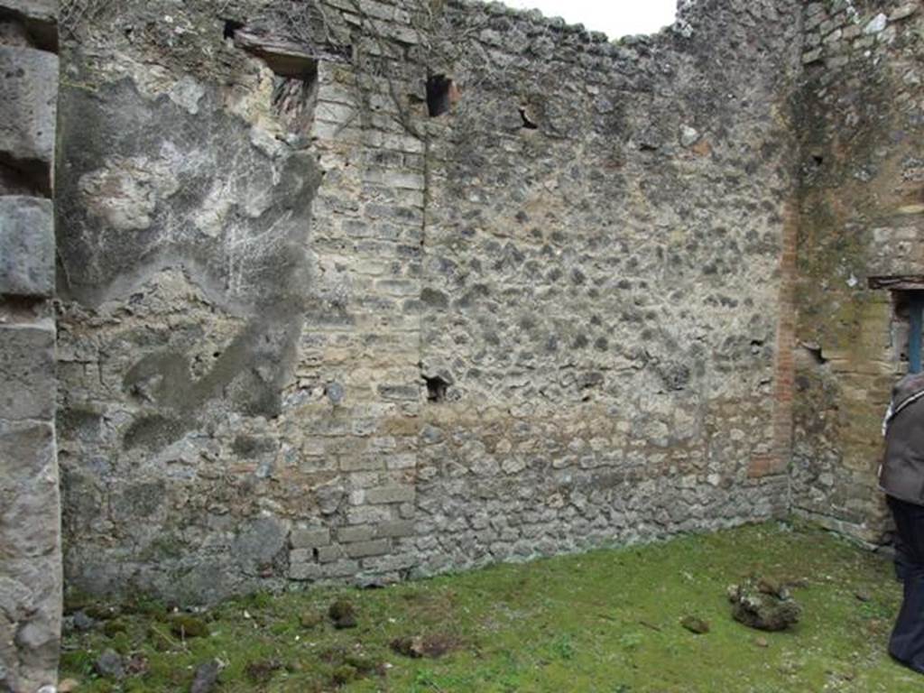 VII.11.14 Pompeii. March 2009. Garden area “A”. South wall.