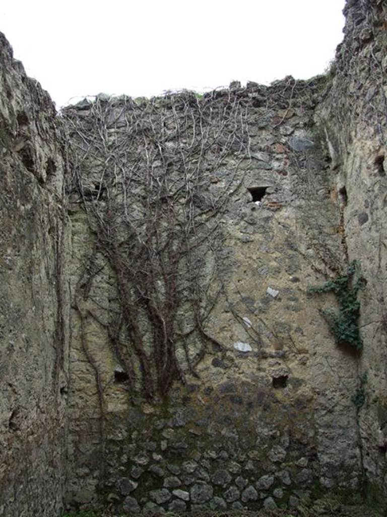 VII.11.14 Pompeii. March 2009. Garden “B”. East wall of small room.