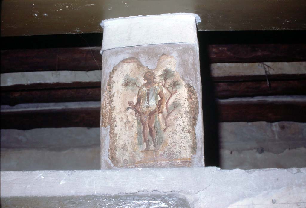 VII.12.18 July 1980. Wall painting of Priapus from the upper frieze in the middle of the north wall.
Photo courtesy of Rick Bauer, from Dr George Fay’s slides collection.