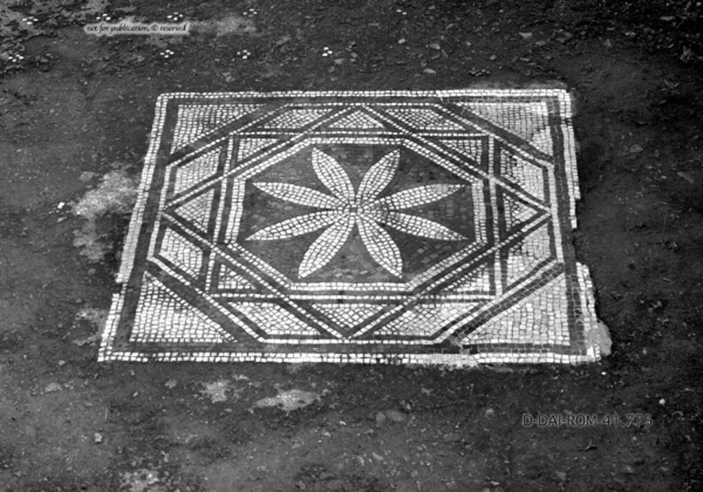 VII.13.4 Pompeii. c.1930. Room �i�, cubiculum on east side of atrium.
Mosaic central decoration set in floor of cocciopesto dotted with crosses made of four white tesserae, with a small black tile in the centre. 
DAIR 41.775. Photo � Deutsches Arch�ologisches Institut, Abteilung Rom, Arkiv.
See Pernice, E.  1938. Pavimente und Fig�rliche Mosaiken: Die Hellenistische Kunst in Pompeji, Band VI. Berlin: de Gruyter, (tav. 49.3, above.)
