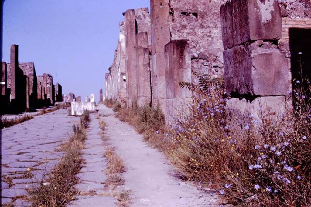 VII.13.6 Pompeii, on right, 1966. Looking west along Via dell’Abbondanza. Photo by Stanley A. Jashemski.
Source: The Wilhelmina and Stanley A. Jashemski archive in the University of Maryland Library, Special Collections (See collection page) and made available under the Creative Commons Attribution-Non Commercial License v.4. See Licence and use details.
J66f0534