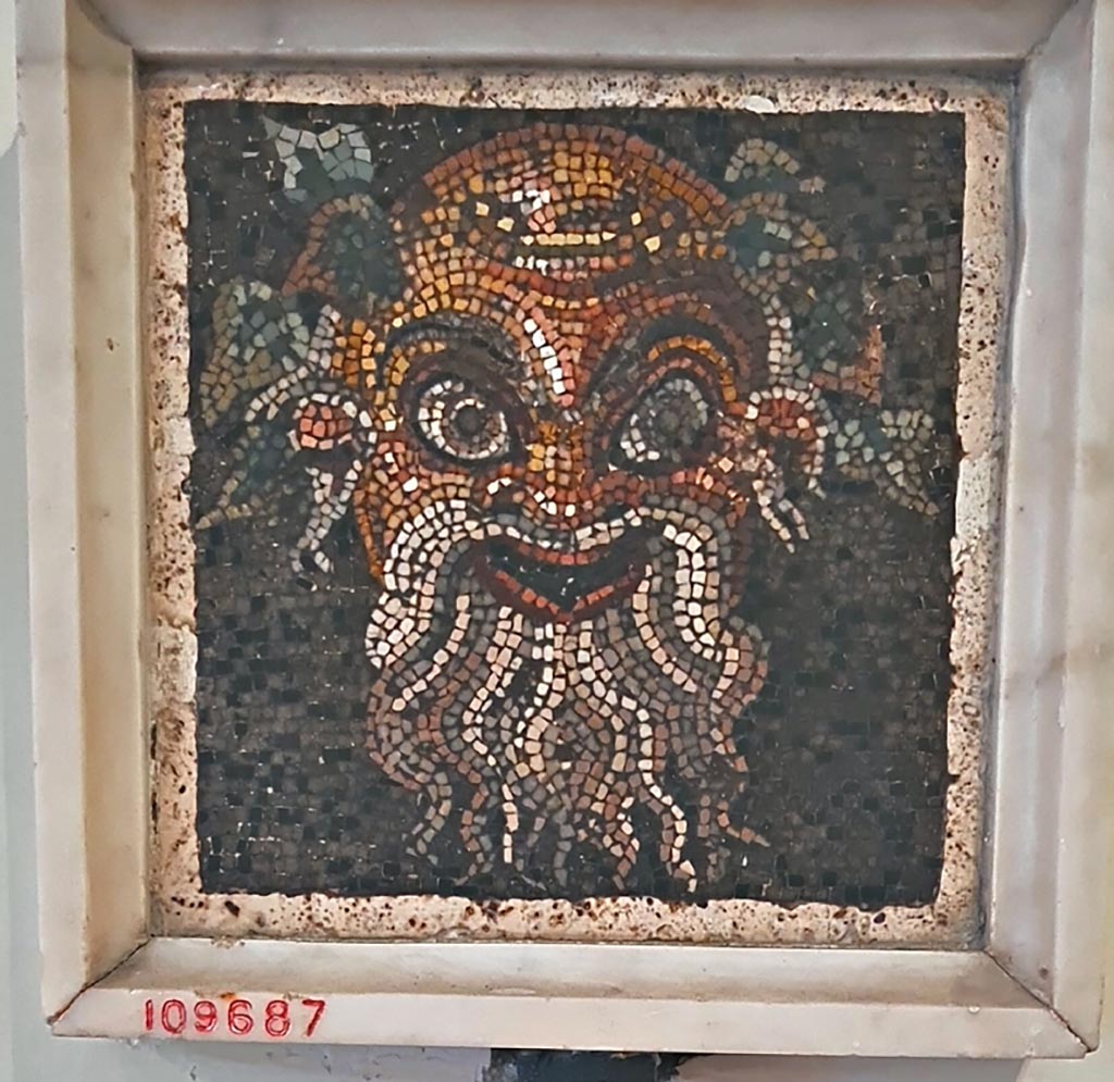 Mosaic mask found at VII.13.23 on 17th November 1821.
Now in Naples Archaeological Museum. Inventory number 109687.
According to the information card –
Theatrical mask.
Fragment of a mosaic pavement in opus vermiculatum made from polychrome tesserae on a black background, depicting a comic mask, a Papposilenus (an elderly Silenus) wearing an ivy wreath. (Early Ist century BC.)
(Maschera teatrale.
Frammento di mosaico pavimentale in opus vermiculatum di tessere policrome su fondo nero, raffigurante una maschera di commedia, un Papposileno coronato di edera. Inizi del I secolo a.C.)
Photo courtesy of Giuseppe Ciaramella. September 2024.