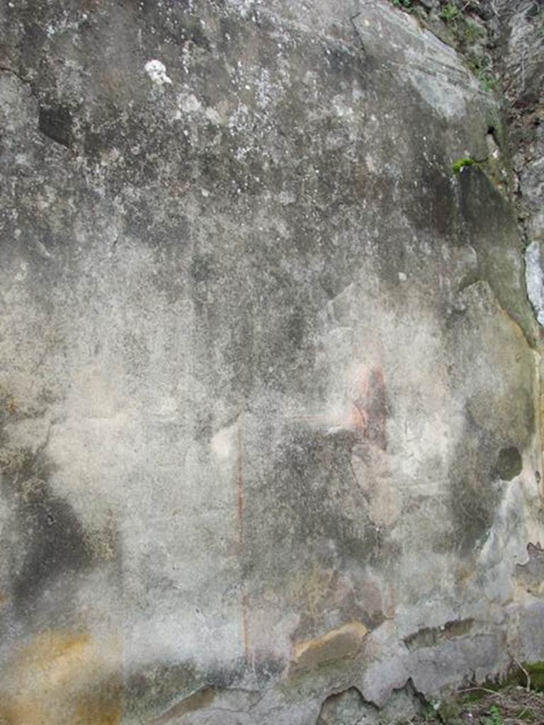 VII.14.5 Pompeii. March 2009. Room 2. South wall.