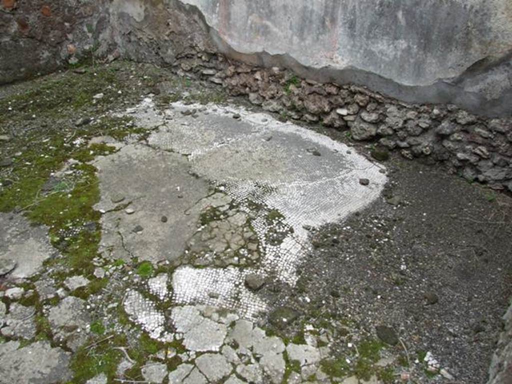 VII.14.5 Pompeii. March 2009. Room 2. Mosaic floor.