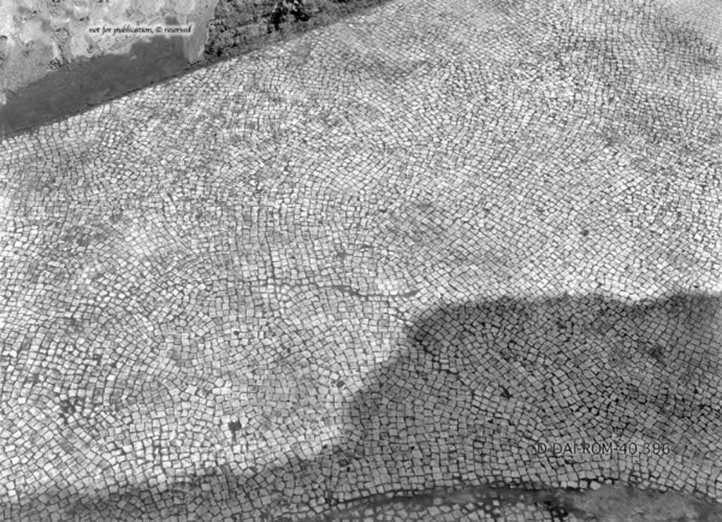 VII.14.5 Pompeii. c.1930. Room 2, mosaic floor.
DAIR 40.396. Photo © Deutsches Archäologisches Institut, Abteilung Rom, Arkiv.
See Pernice, E. 1938. Pavimente und Figürliche Mosaiken: Die Hellenistische Kunst in Pompeji, Band VI. Berlin: de Gruyter,
(described as “room 10”, see tav. 15.6, above.)