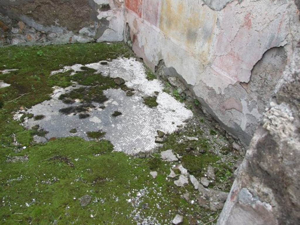 VII.14.5 Pompeii. March 2009. Room 3. Floor.