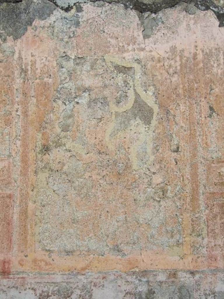 VII.14.5 Pompeii. March 2009. Room 10. Remains of wall painting on north wall.