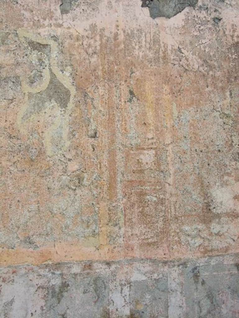 VII.14.5 Pompeii. March 2009. Room 10. Remains of wall painting on north wall.
