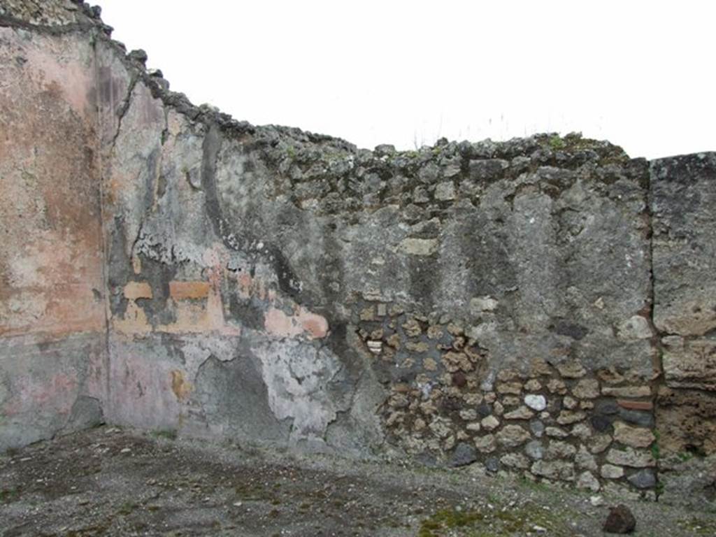 VII.14.5 Pompeii. March 2009. Room 10. East wall.