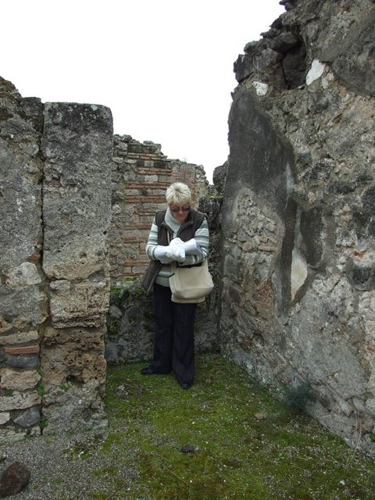 VII.14.5 Pompeii. March 2009. Room 10. South east corner.