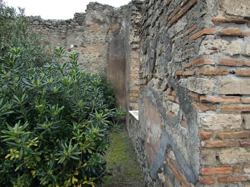 VII.14.5 Pompeii. March 2009. Room 11. Peristyle garden area. East wall with window to Room 10.