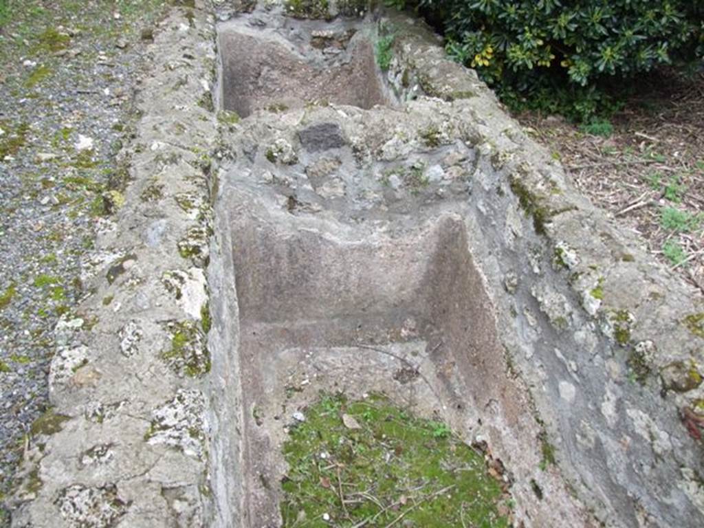 VII.14.5 Pompeii. March 2009. Room 11. Peristyle garden area. Detail of basins at west end