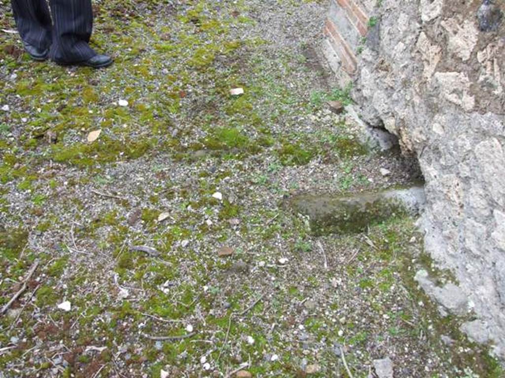 VII.14.5 Pompeii. March 2009. Room 9. South Portico. Gutter under peristyle wall.